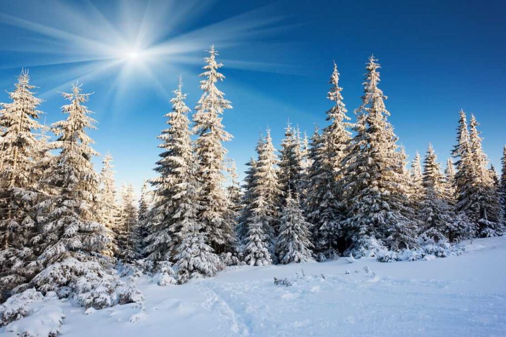A frosty and sunny day is in mountains