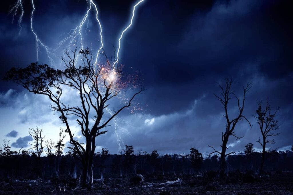 Natural landscape background with lightning striking tree