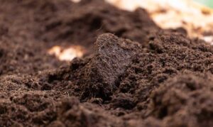 Clean soil for cultivation. The potting soil or peat is suitable for gardening and is one of the four natural elements. The land is life for our planet earth. Selective Focus.