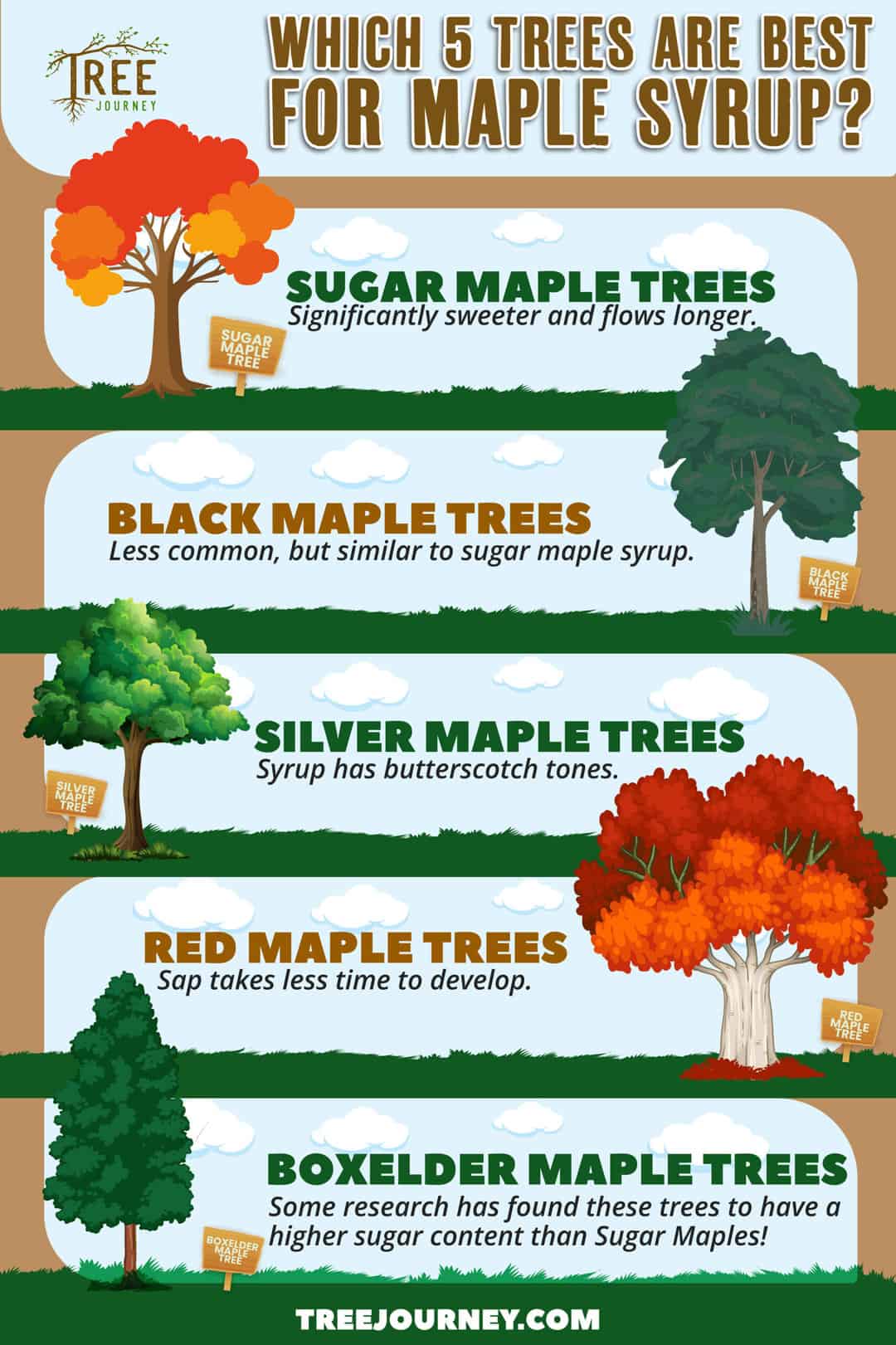 all types of maple trees