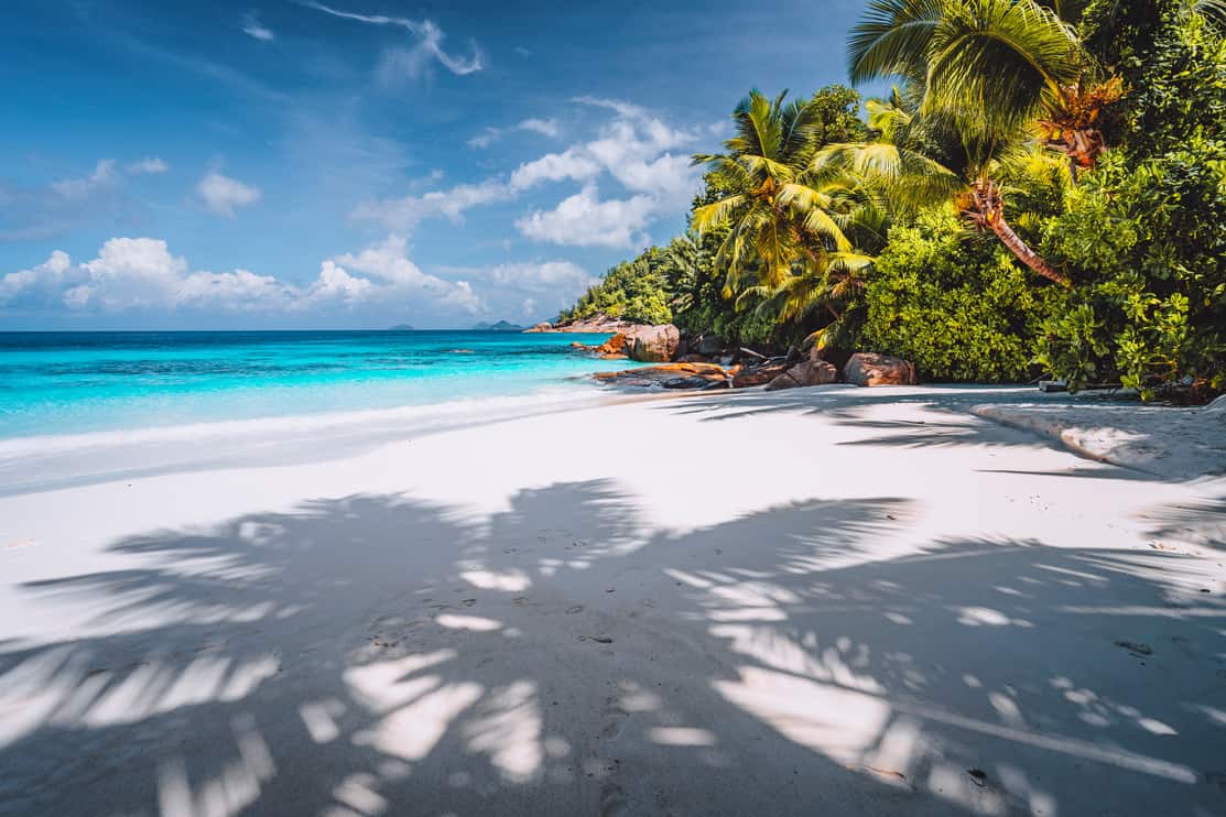 Palm tree shadow on tropical tranquil beach with powdery white sand, crystal clear blue ocean lagoon and palm trees in background. Vacation and lifestyle concept.