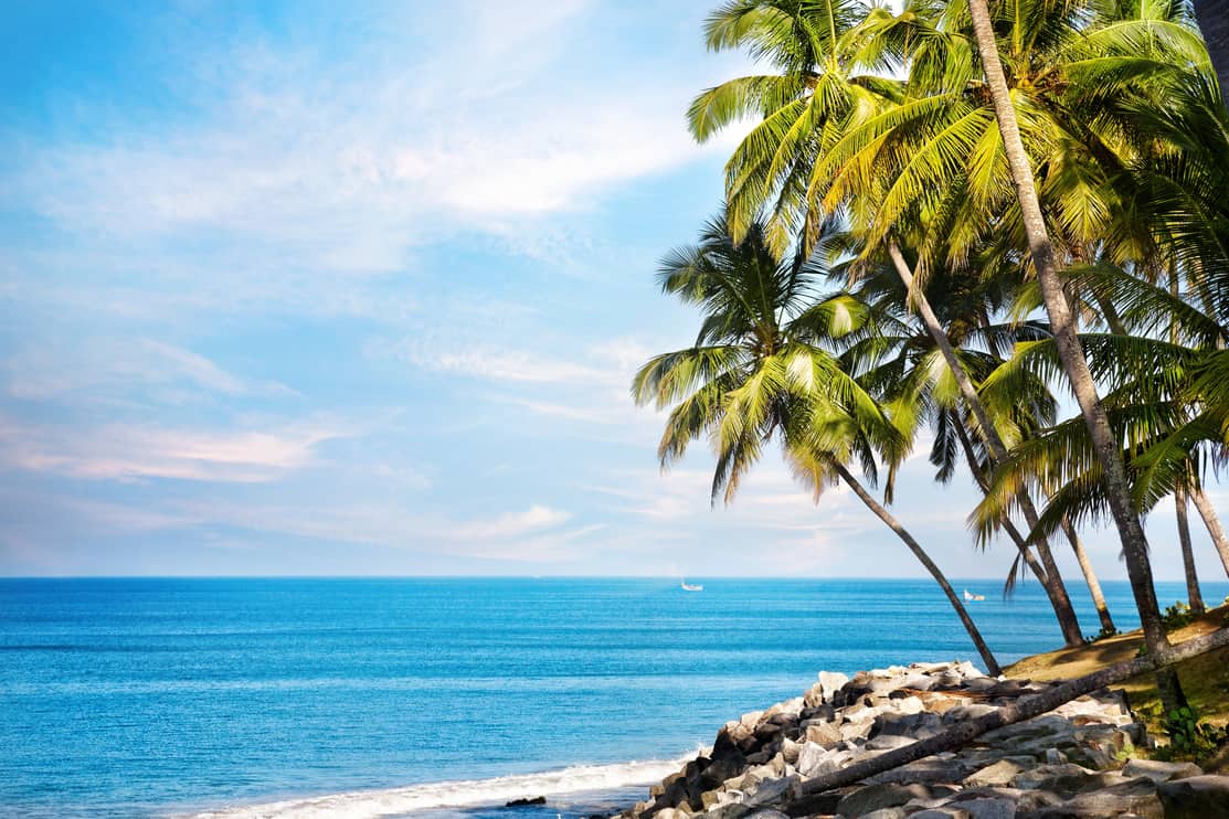 Coconut palms on the beach near the blue ocean