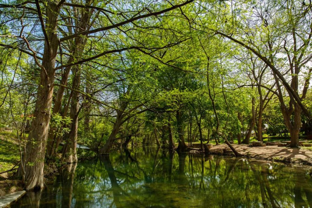 The natural beauty of the Texas Hill Country in the small town of Wimberley.