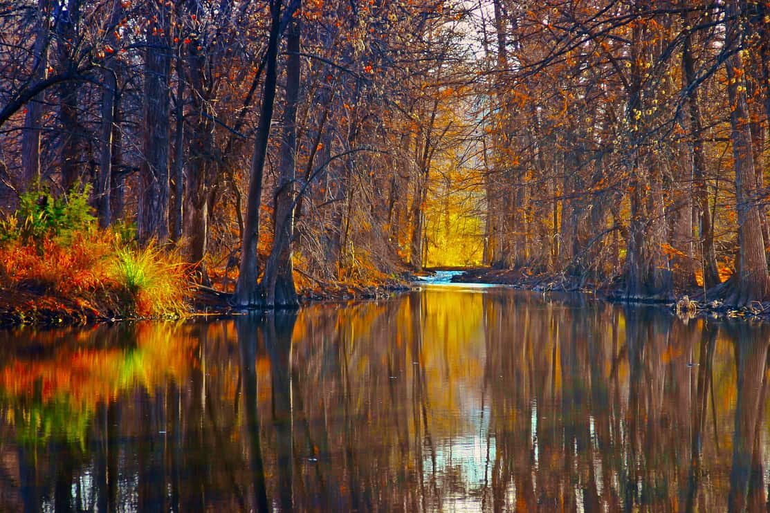 autumn trees along reflective river