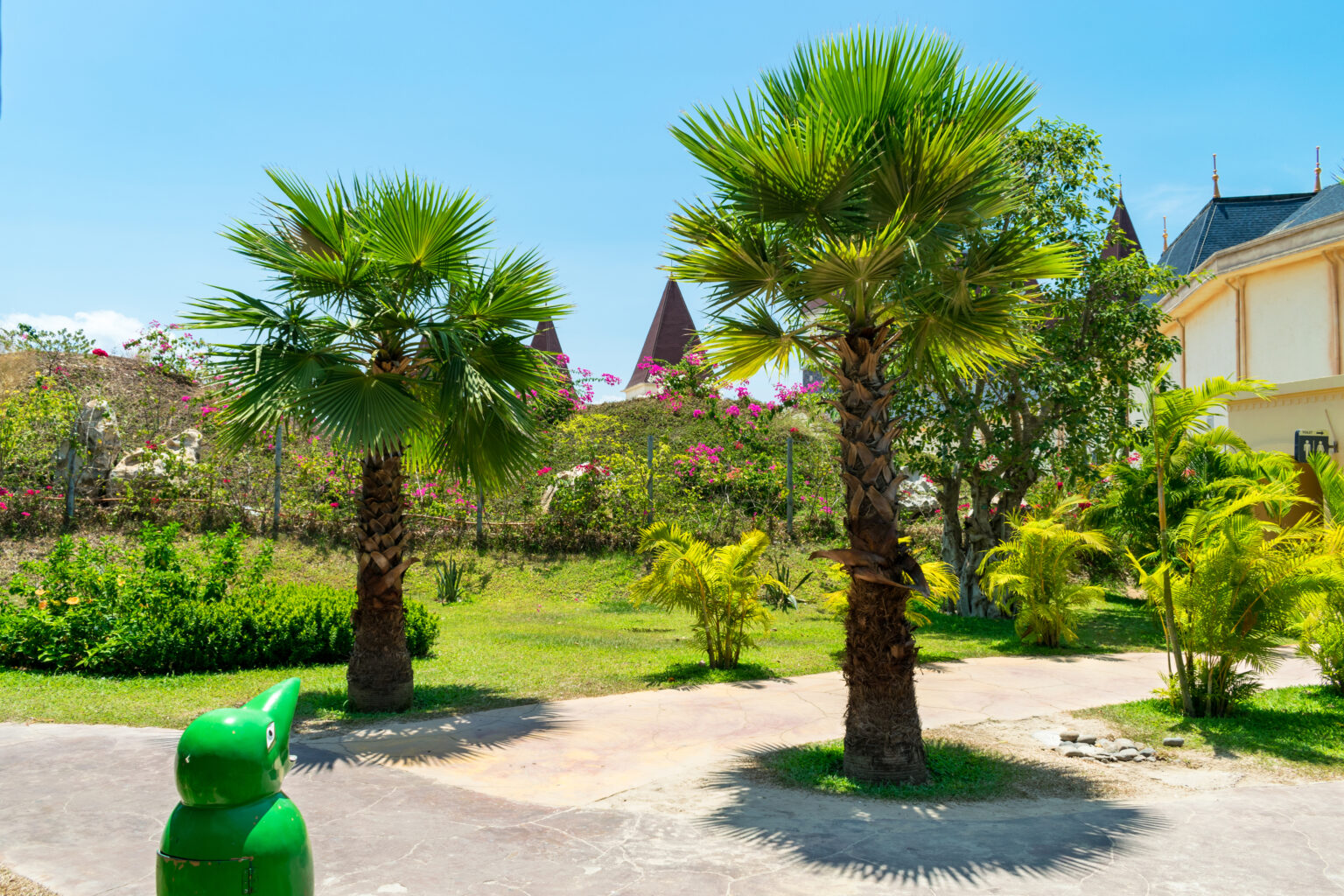 9 Beautiful Plants To Put Under Your Palm Tree Tree Journey