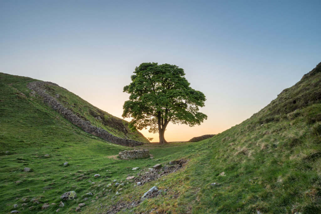 Stunning landscape image of Sycamore Gap at Hadrian's Wall in Northumberland at sunset with fantastic late Spring light