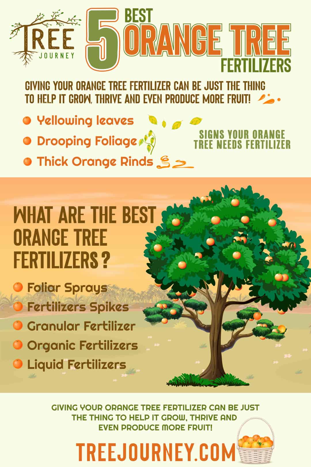 Best Orange Tree Fertilizers Infographic