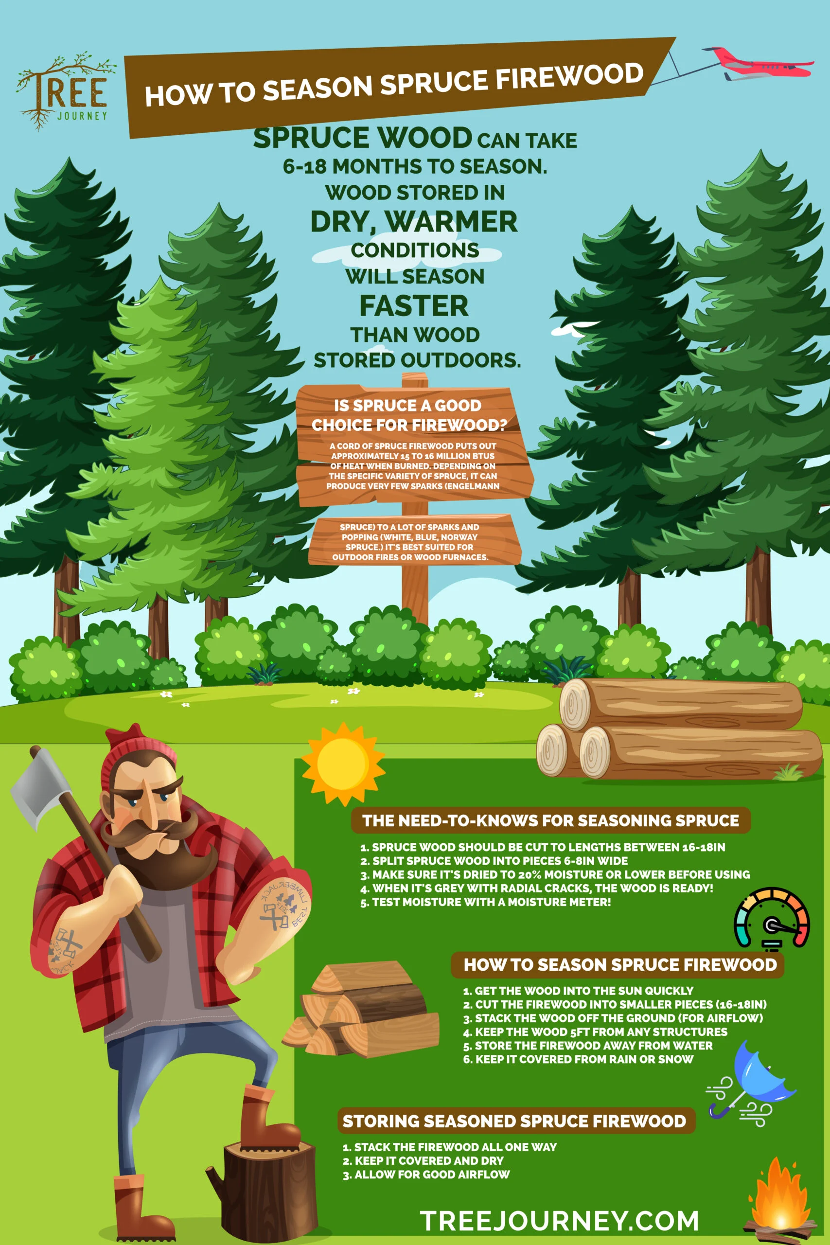 Seasoning spruce wood infographic tree journey