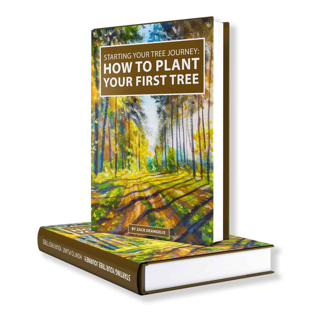 How to plant your first tree book